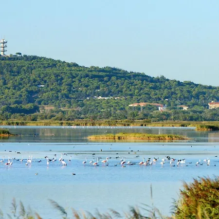 Appartement Le Florid-7 By Interhome Agde